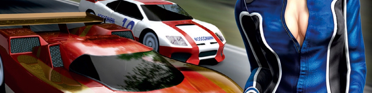 Banner Ridge Racer DS