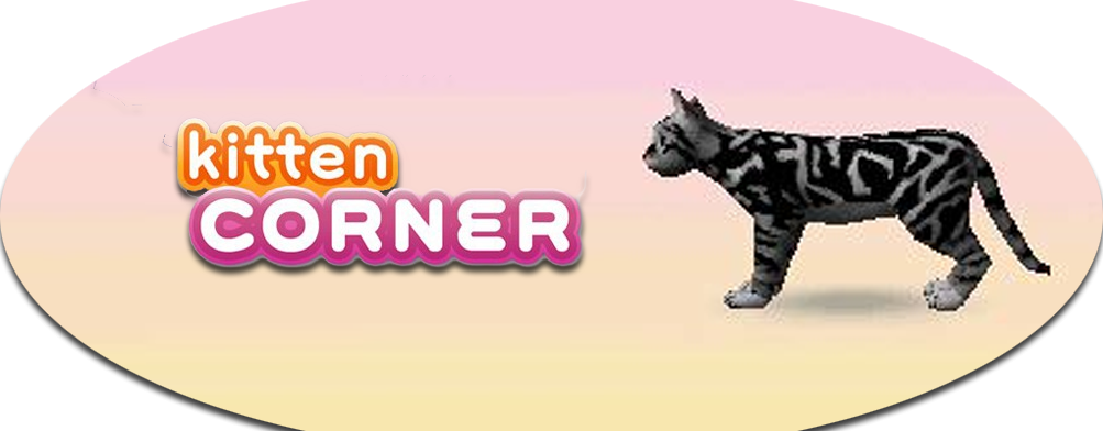 Banner Discovery Kids Kitten Corner