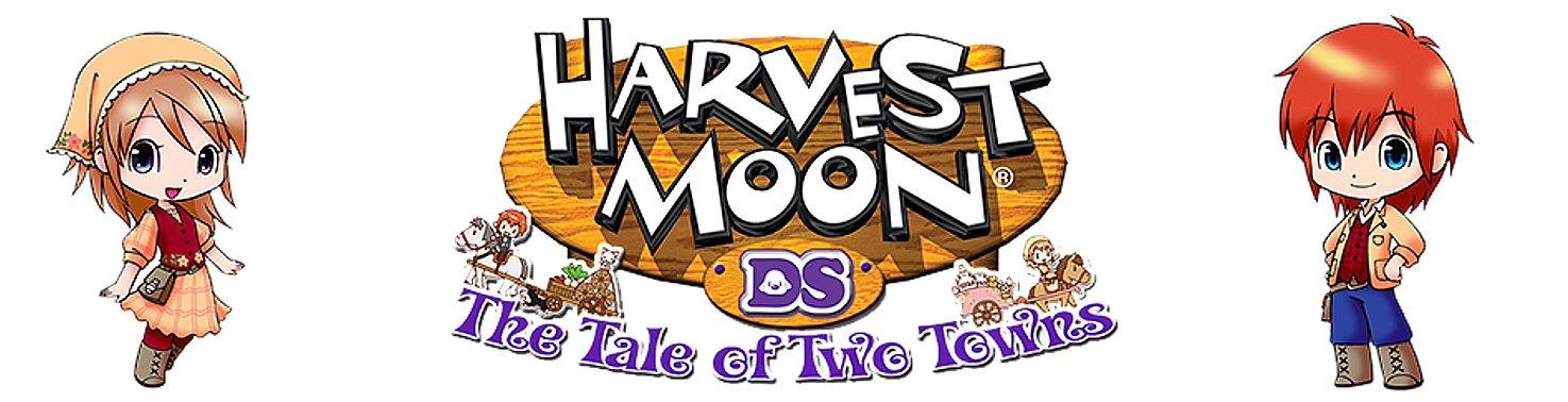 Banner Harvest Moon The Tale of Two Towns