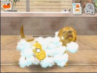 Als je je hond wast, hoor je de Nintendogs Theme Song.