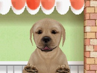 Petz: Dog Superstar: Afbeelding met speelbare characters