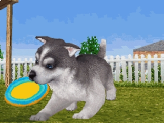 Petz Dog Superstar: Screenshot