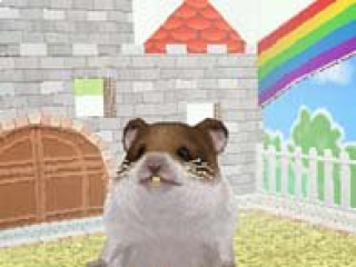 Petz Hamster Superstar: Screenshot