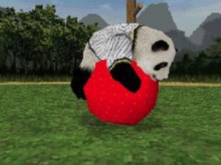 Koop speelgoed voor je panda, zodat hij de gelukkigste panda word die er is!