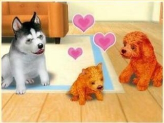 Petz: My Puppy Family: Afbeelding met speelbare characters
