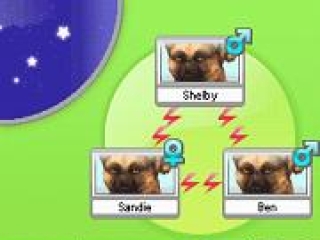 Petz My Puppy Family: Screenshot