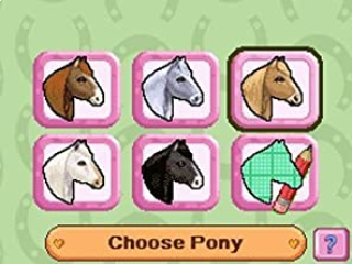 Petz Pony Club: Screenshot