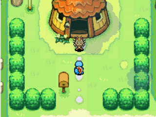 Als je start met dit spel zal er door middel van een test bepaald worden als welke pokemon je speelt en wie je partner is.