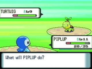Hier zie je twee van de starter pokemon, namelijk Piplup en Turtwig.
