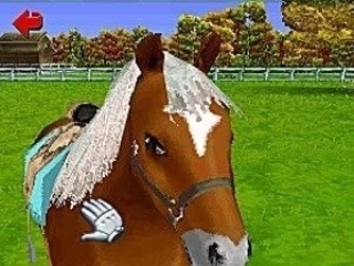 Pony Friends 2: Screenshot
